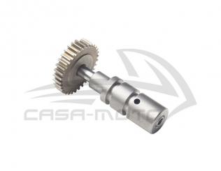 Ölpumpenzahnrad für TM und Ape Car 