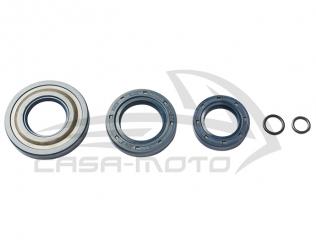 Kurbelwellensimmeringsatz 20/20 Konus " Premium Qualität " für Ape 50 