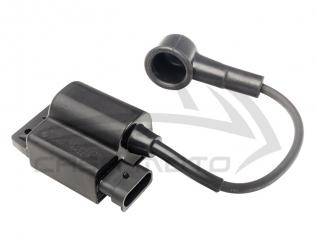 Zündspule Ape 50 ZAPC80 neues Modell 