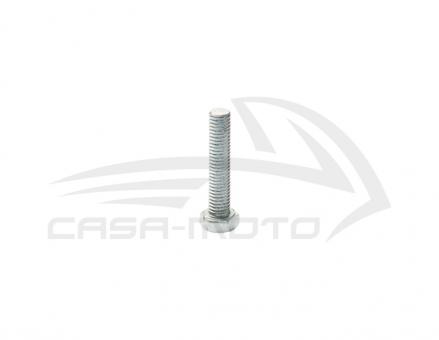 Schraube am Bremshebel vorne unten an der Bremsankerplatte Ape 50, Sechskant M5 verzinkt 